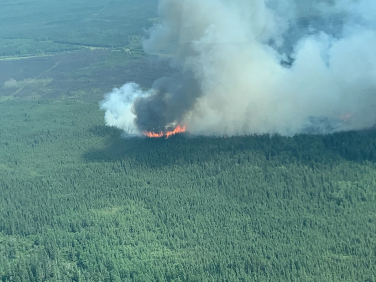 The LWF136 wildfire burning near Highway 881 in the Lac La Biche Forest Area of northeastern Alberta on July 17, 2024.