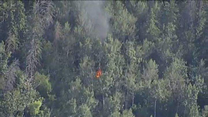 Edmonton firefighters and police officers were called to a fire that broke out at the Mill Creek Ravine on June 29, 2024.