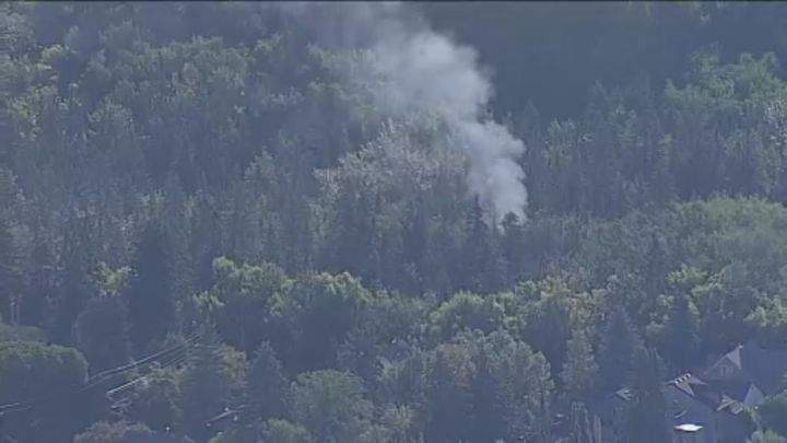 Edmonton firefighters and police officers were called to a fire that broke out at the Mill Creek Ravine on June 29, 2024.