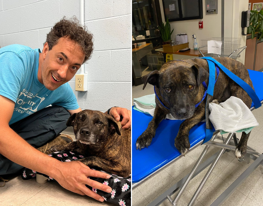 Sparsy the dog is recovering well after being rescued from a Virginia cave by a group of cavers, including Jesse Rochette, pictured.