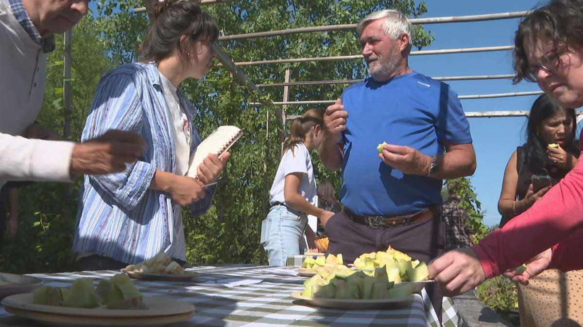 The Montreal melon cut into slices for locals to try at a tasting in late August 2024.