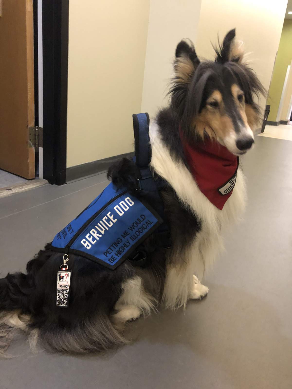 Pet rental restrictions