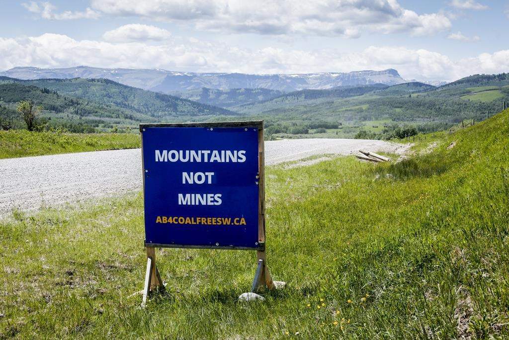 A sign opposing coal development in the eastern slopes of the Livingston range south west of Longview, Alta., Wednesday, June 16, 2021.Alberta's energy regulator says it will go ahead with hearings on coal exploration in the Rocky Mountains despite concerns about the legality of the applications from the province's top court. THE CANADIAN PRESS/Jeff McIntosh.