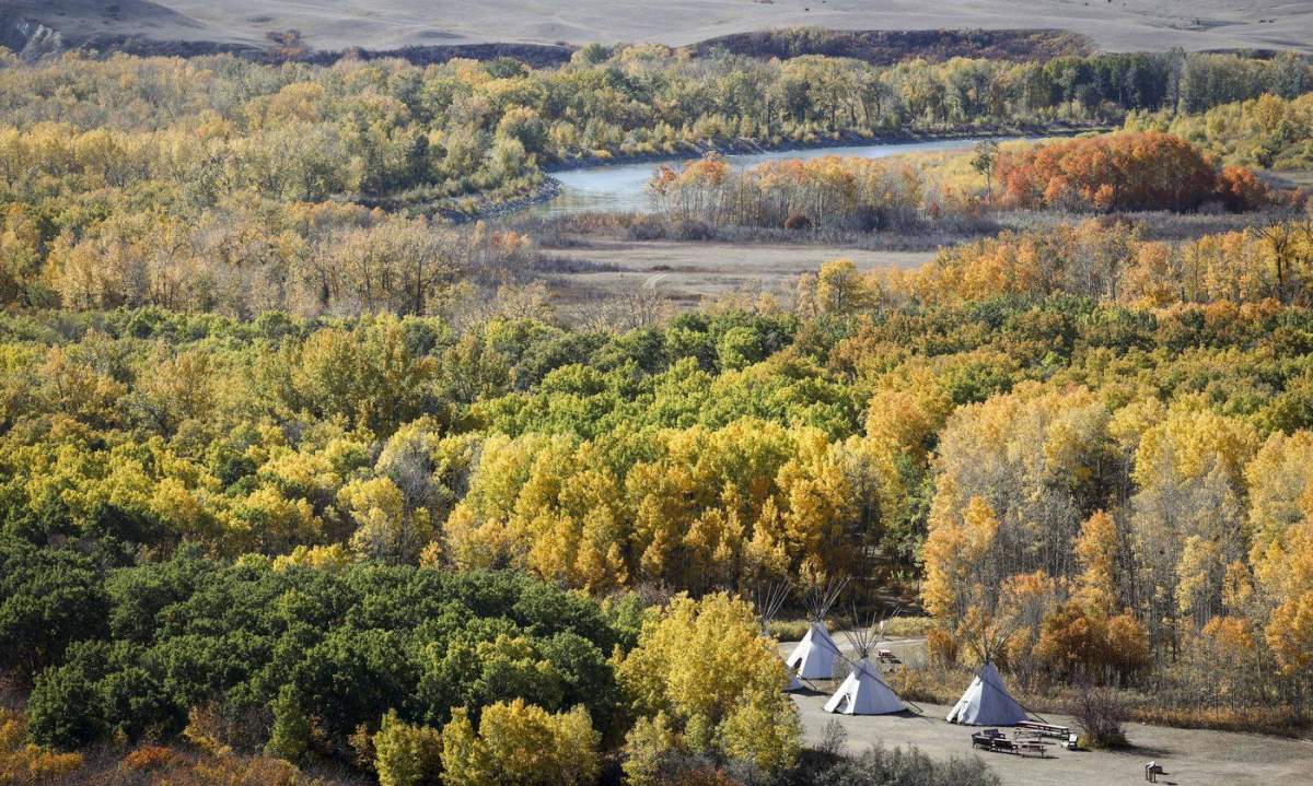 Teepees stand surround by fall foliage as the Bow River flows through on the Siksika Nation, 100 kilometres east of Calgary near Cluny, Alta., Thursday, Sept. 28, 2023.