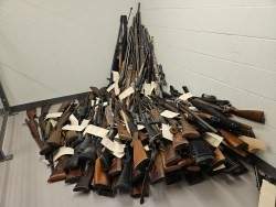 233 firearms seized from Guelph home, Waterloo police say - image