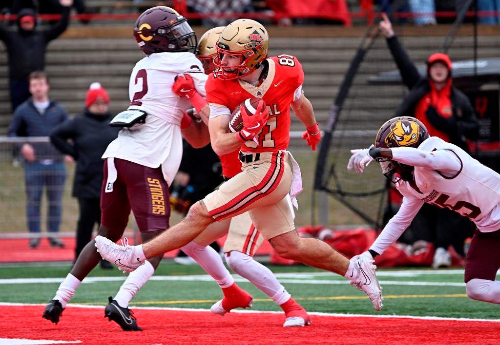 Laval University Rouge et Or Olivier Cool leaps into the end zone to score a touchdown as Concordia Stingers Ahmadou Boubacar, left, and Mendel Joseph fail to stop him in a semifinal game, Saturday, Nov. 2, 2024 in Quebec City. THE CANADIAN PRESS/Jacques Boissinot.