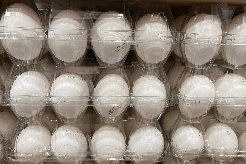 Cartons of eggs are shown for sale, on Jan. 17, 2023, in North Miami, Fla.