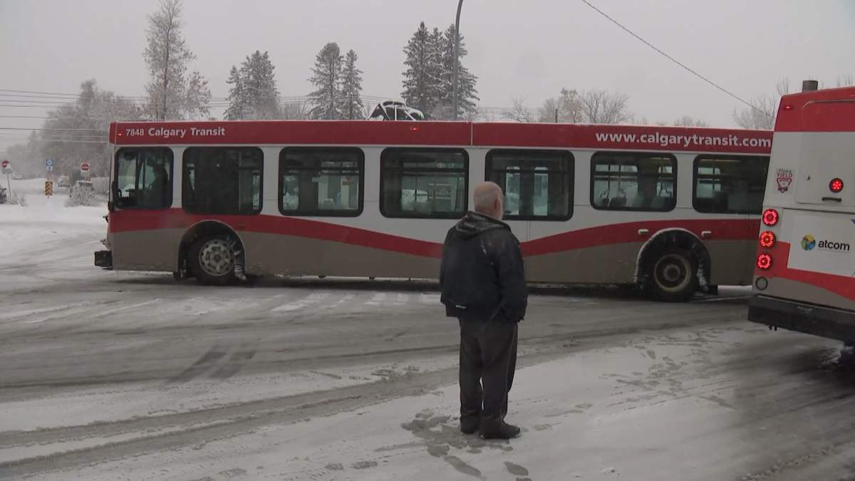 The heavy, wet snow that fell on Calgary early Monday morning (Nov. 18, 2024) meant many city busses were unable to navigate steep hills.