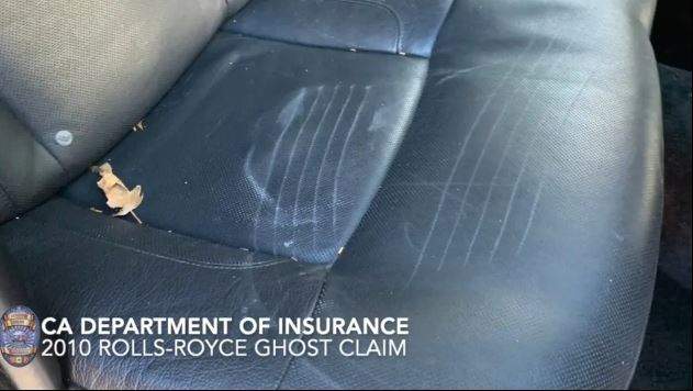 A screengrab of video provided by the California Department of Insurance shows "claw" marks inside the interior of one of the luxury vehicles.