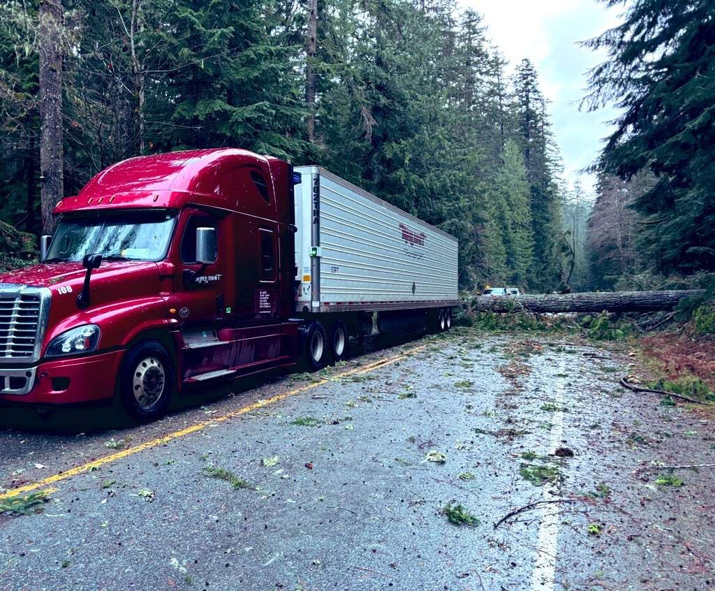Clean-up in Cathedral Grove.