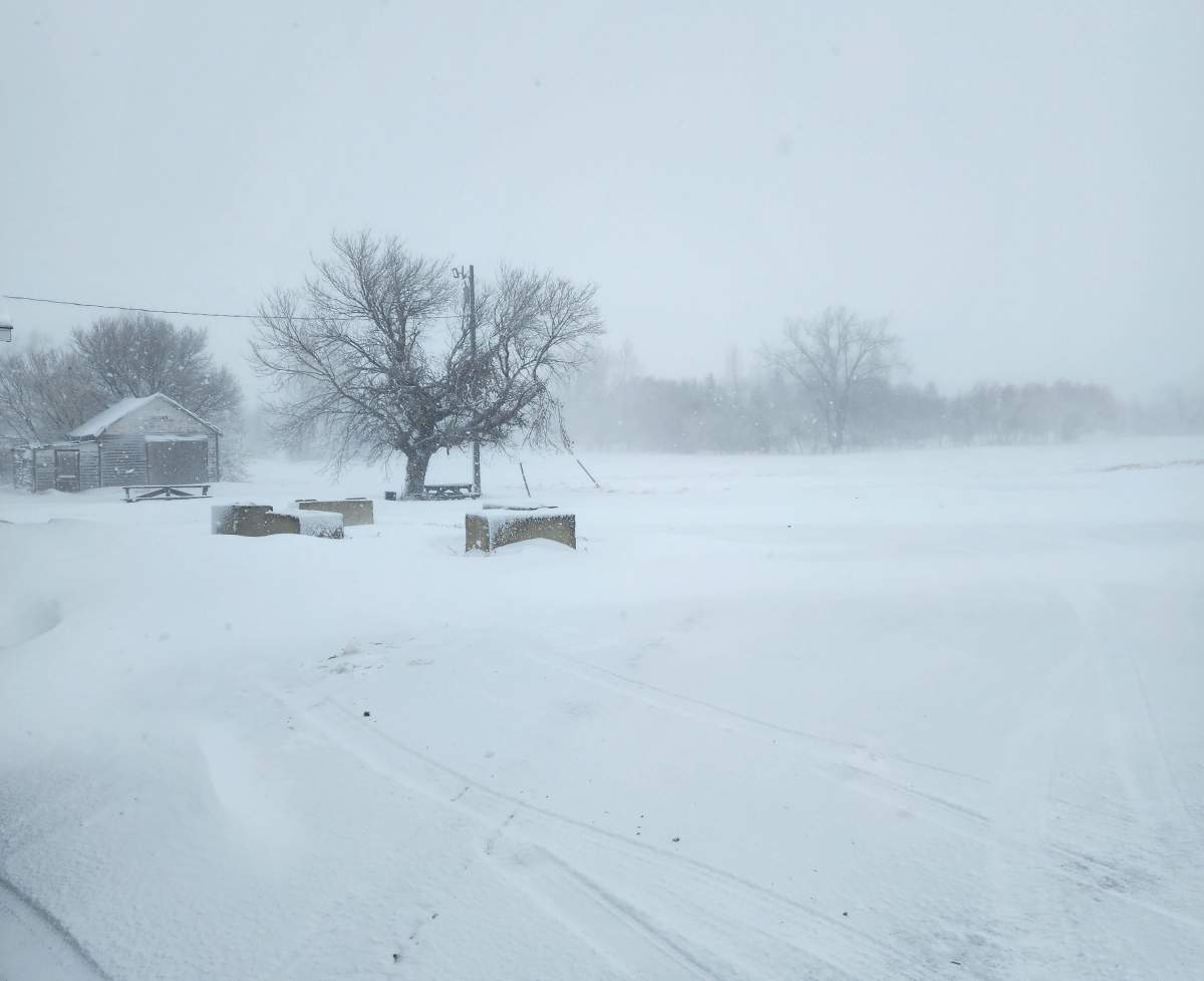 Heavy snow in the Elgin, Man., area on Nov. 20, 2024.
