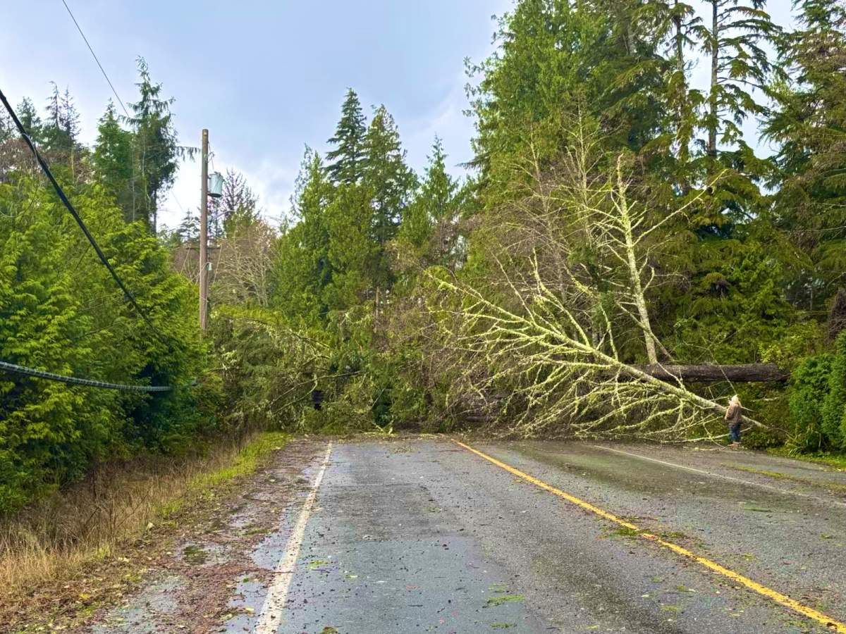 Clean-up underway in Tofino following winds from the bomb cyclone.