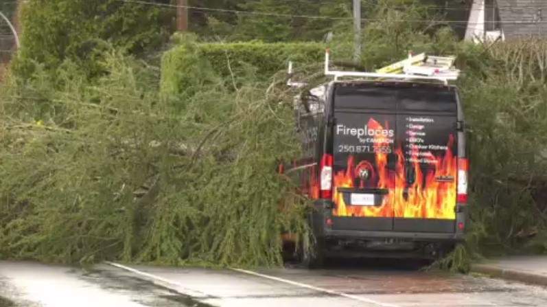 A tree came down in a fireplace repair truck in Comox.