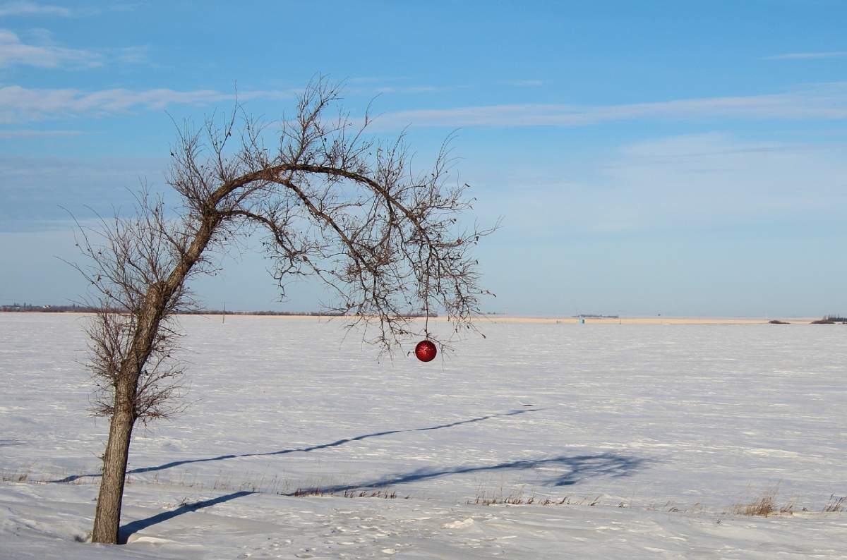 The Your Saskatchewan photo of the day for December 19 was taken by Gloria Pawliuk near Pense.