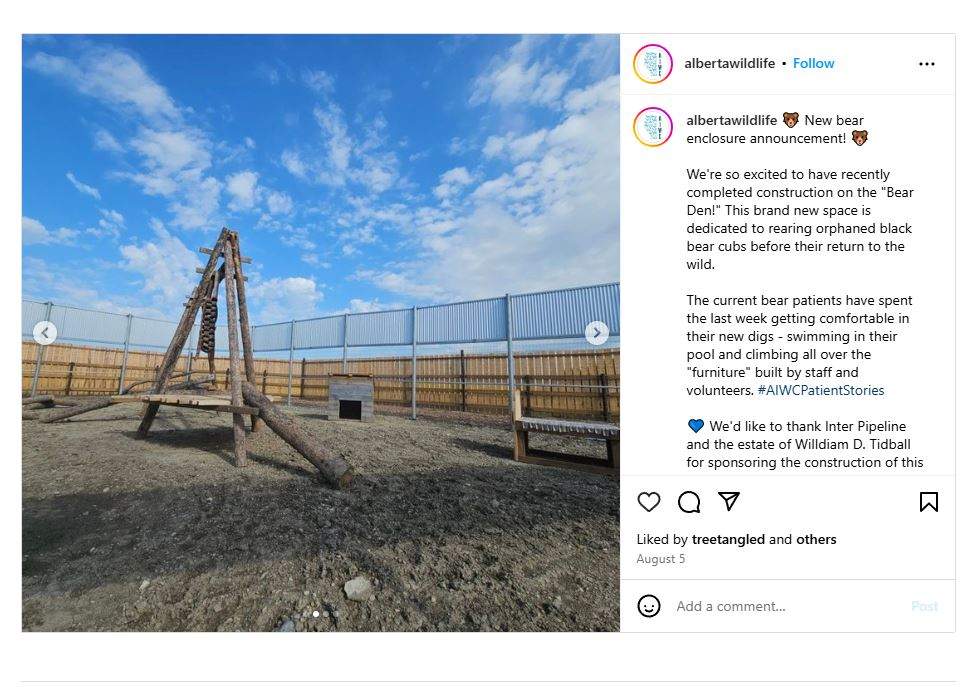 The Alberta Institute for Wildlife Conservation opened a new bear enclosure called the 'Bear Den', in August to help with the rearing of orphaned bear cubs until they could be returned to the wild.