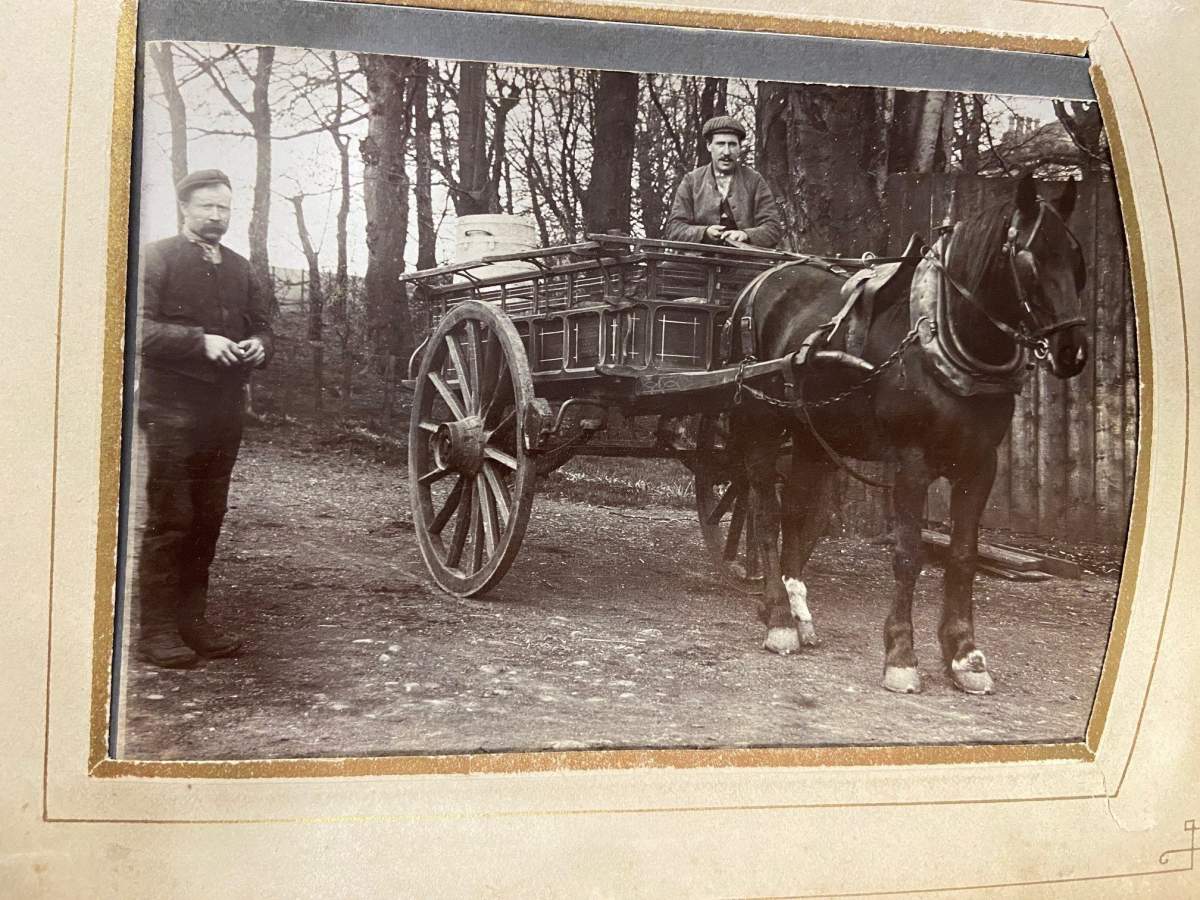 Photo Album Mystery