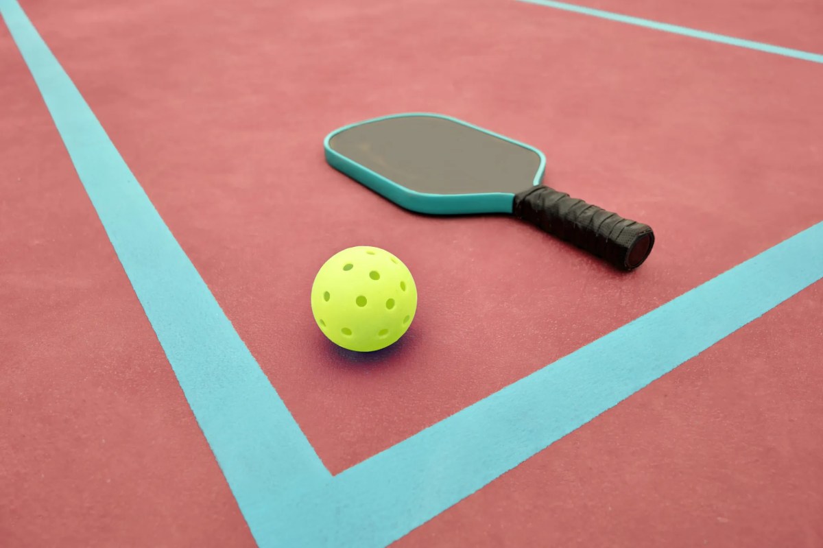 The Curator 2024: Our top stories & bestsellers - image
