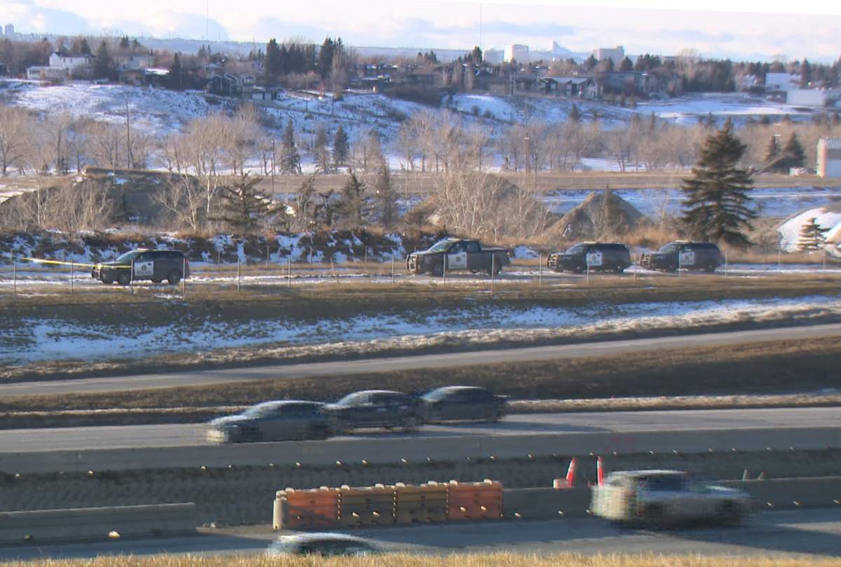 Calgary Police are asking anyone who may have seen anything suspicious along the Nose Creek pathway in N.E. Calgary this morning to give them a call after a woman was sent to hospital in life-threatening condition.