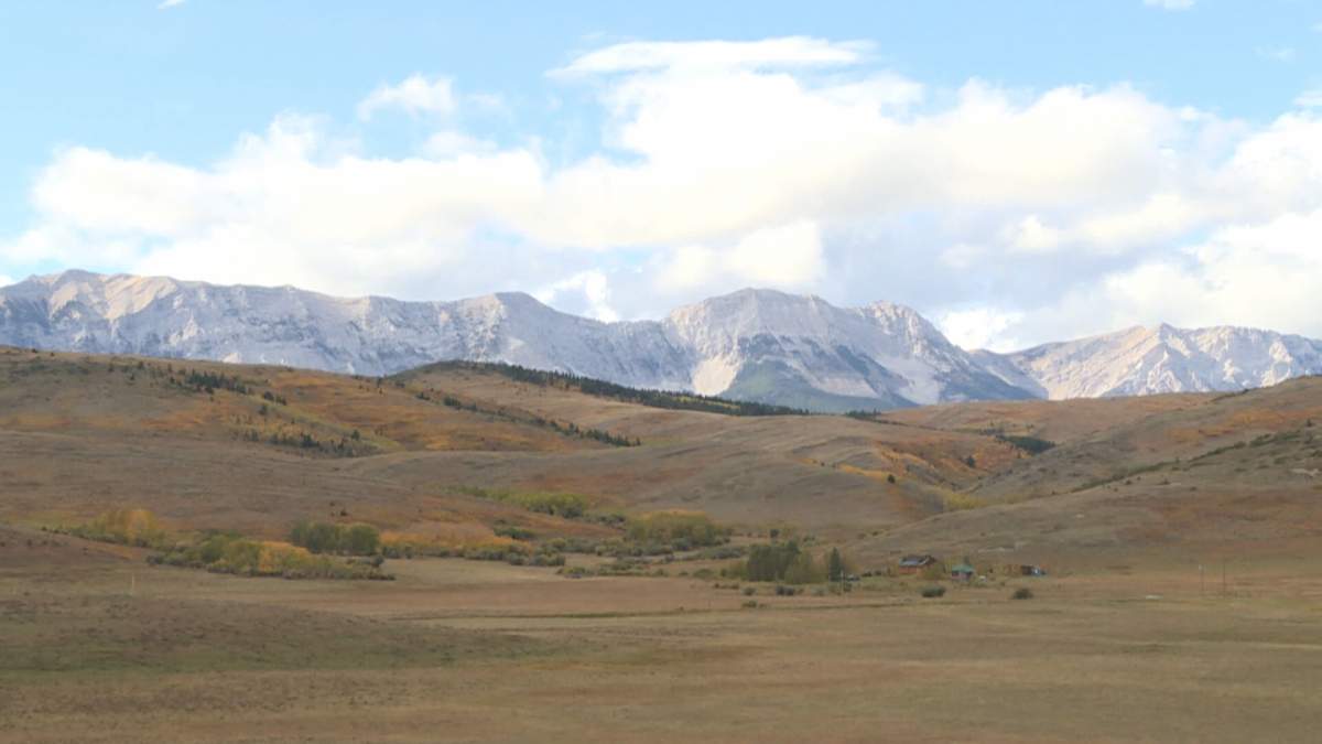 Five coal companies are suing the province of Alberta over allegations it backtracked on a promise to allow them to mine for coal in the eastern slopes of the Rocky Mountains.