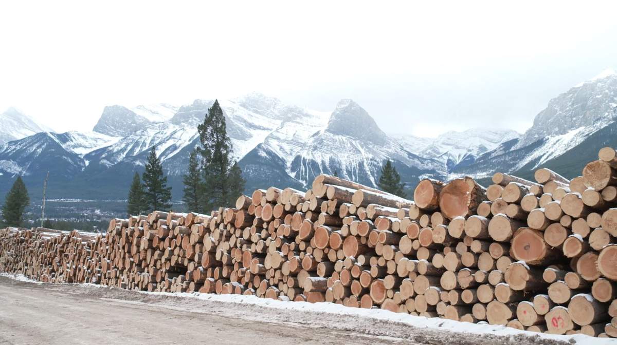 While the final cost of the project hasn't been announced, it will be partially offset by the sale of the timber that's being harvested.