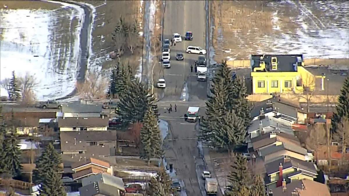 Calgary police have identified the victim of a fatal crash in Pineridge on Wednesday as a 17-year-old female pedestrian who was in a marked crosswalk at the time.
