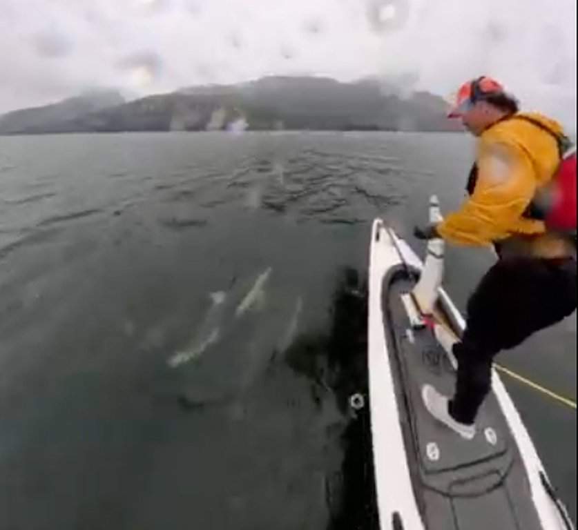 A man rides The HydroFlyer, a jet-ski-sized electric watercraft, as a pod of dolphins swims along in the waters