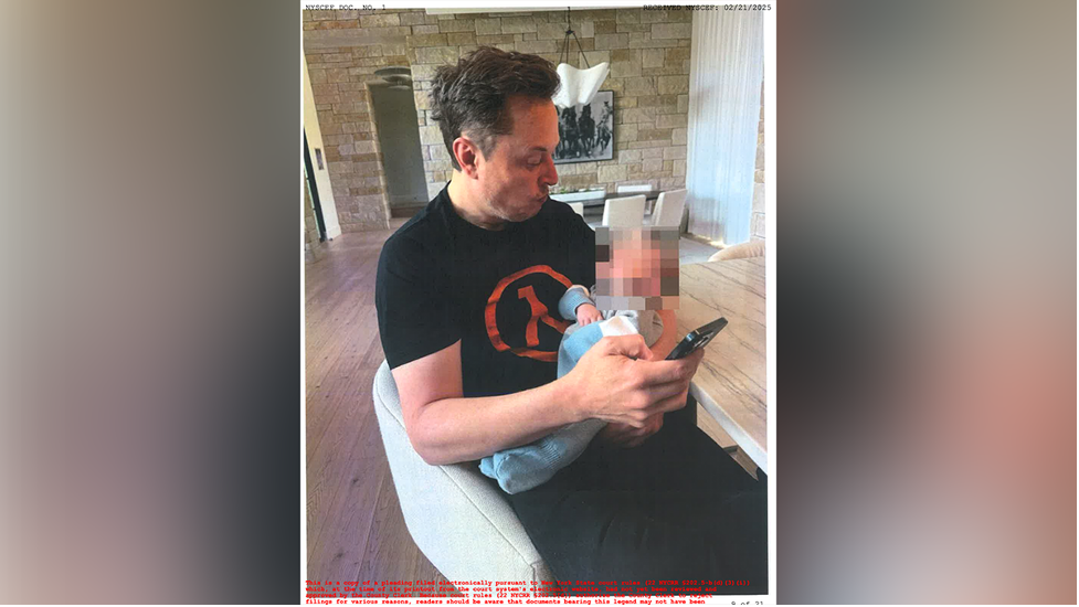 A photo provided in court documents show Elon Musk with a newborn baby.