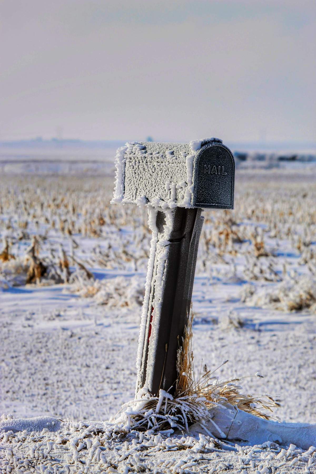 The Your Saskatchewan photo of the day for February 28 was taken by Deb Clute in Lumsden.