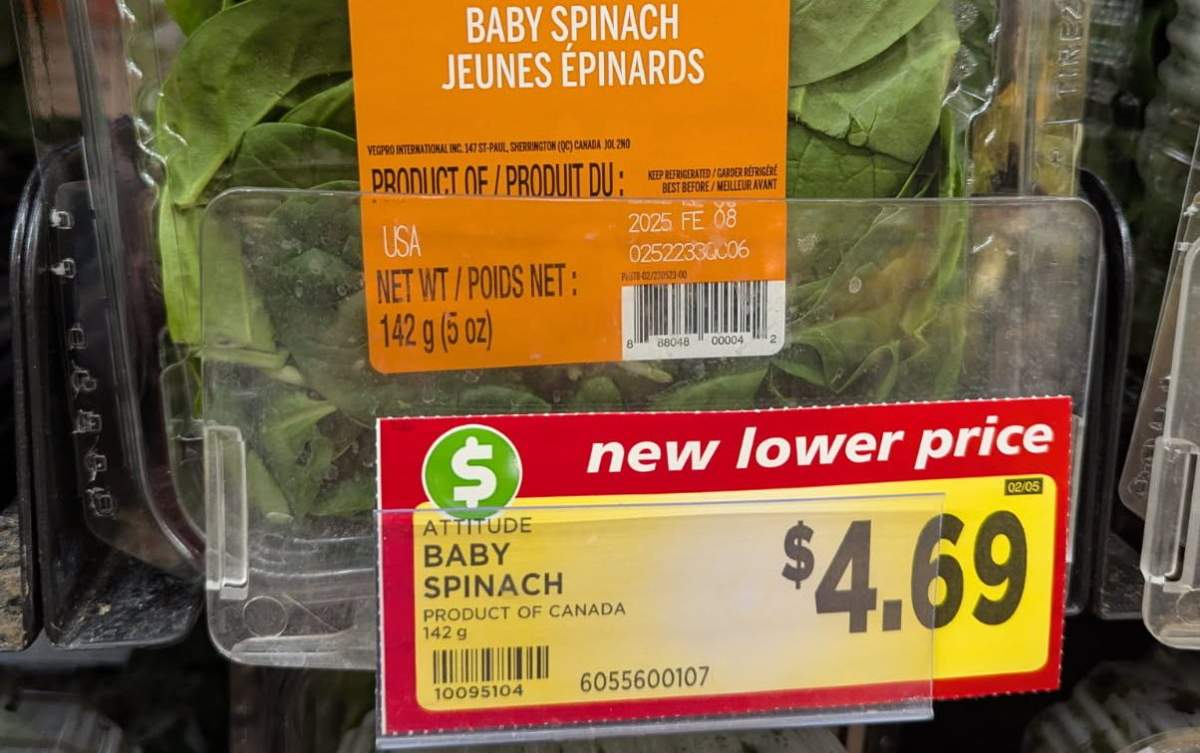 Metro lettuce