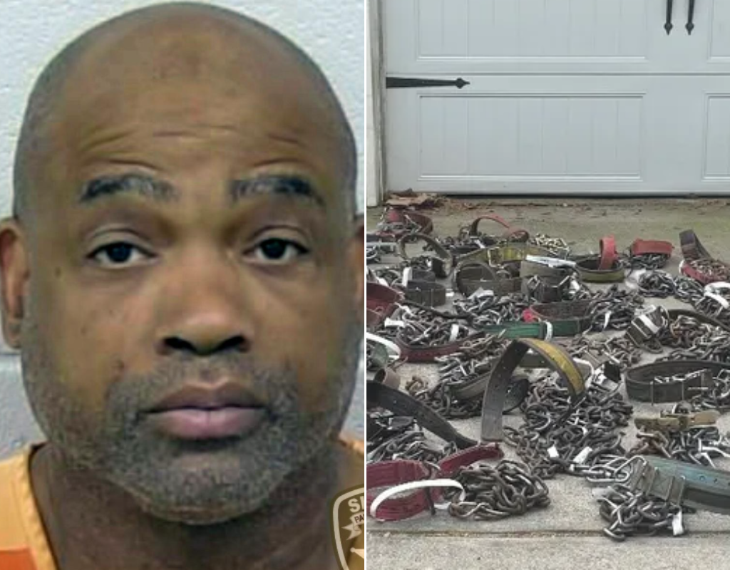 Photos released by the Paulding County Sheriff's Office show Vincent Lemark Burrell and some of the collars seized at his home.