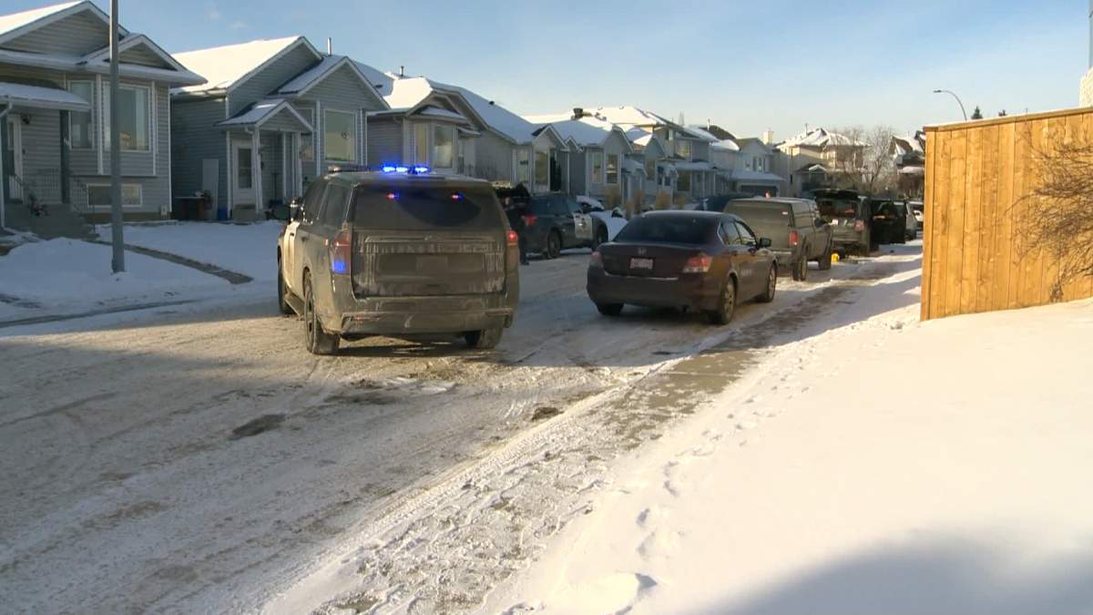 The Alberta Serious Incident Response Team has cleared a Calgary police officer of any wrong doing after a girl was bitten by a police dog in February 2025.