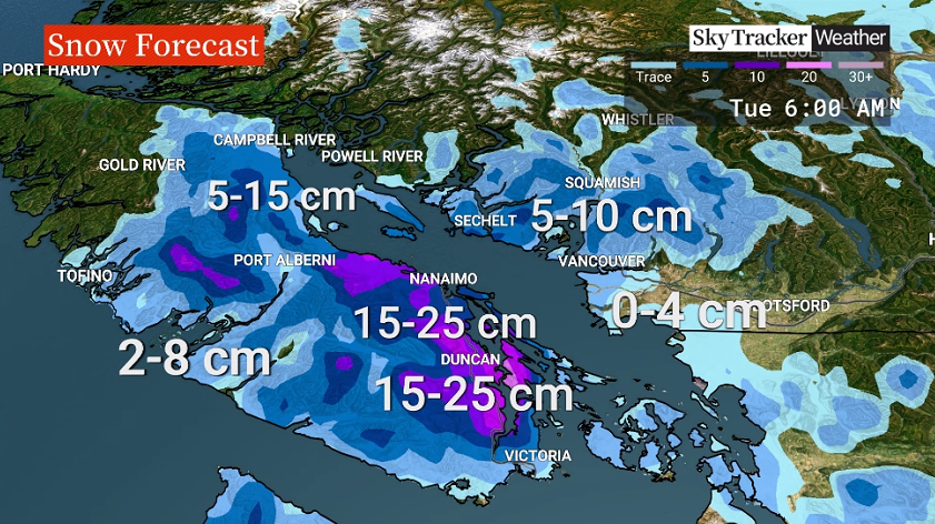 Weather warnings remain in B.C. as Arctic air sweeps across province - image