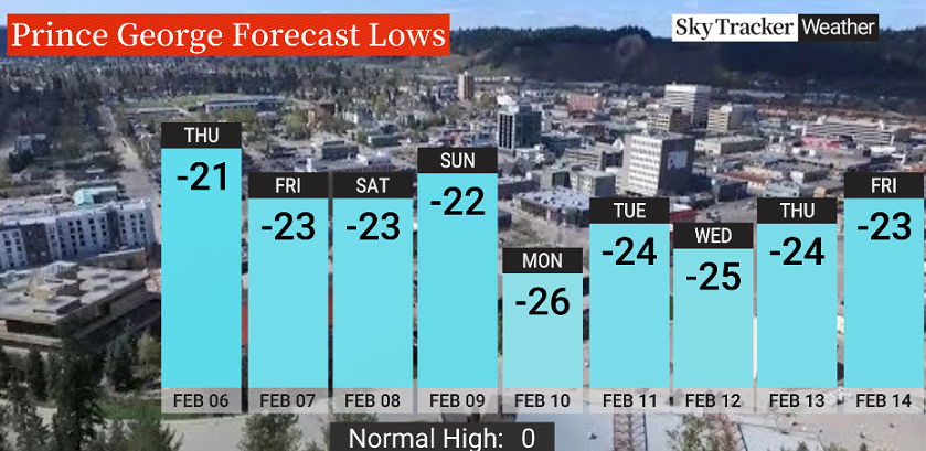 B.C. remains in grips of Arctic cold with temps set to go lower next week - image