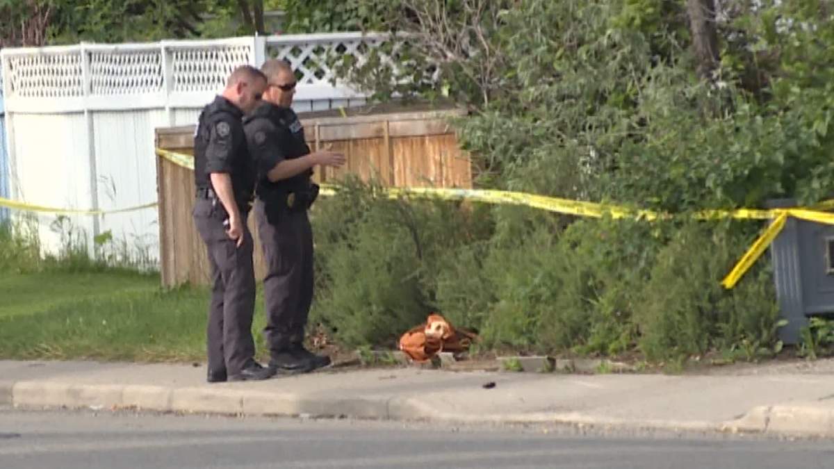 Investigators said the sexual assault vicitm was found clinging to life after being violently attacked while walking home by a man she didn't know.