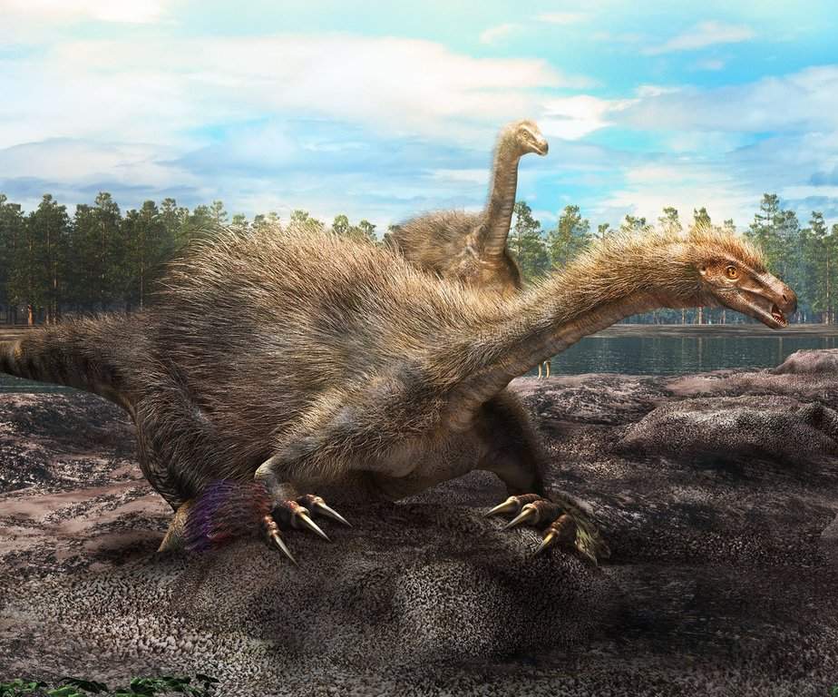 A University of Calgary paleontologist is part of a find of a new species of dinosaur. Darla Zelenitsky says the new species, Duonychus, as shown in this illustration, evolved to having only two claws from three which were used for gathering vegetation. The claws were up to 30 centimetres in length.