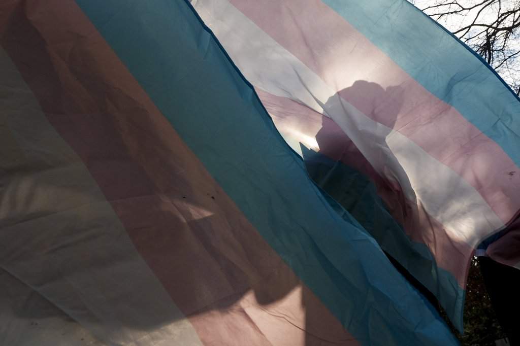 The government launched the committee in December 2023 after a number of gender-related incidents in schools.