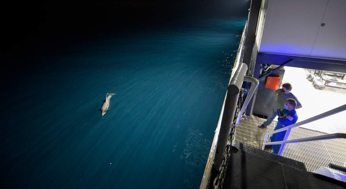 In this handout image from NASA, Manager, NASA ISS Transportation Integration Office, Bill Spetch and NASA astronaut representative Joe Acaba watch dolphin swim along with the SpaceX GO Navigator recovery ship as NASA and SpaceX teams prepare for the landing of the SpaceX Crew Dragon Resilience spacecraft with NASA astronauts Mike Hopkins, Shannon Walker, and Victor Glover, and Japan Aerospace Exploration Agency (JAXA) astronaut Soichi Noguchi aboard in the Gulf of Mexico off the coast of Panama City, Florida, Saturday, May 1, 2021.