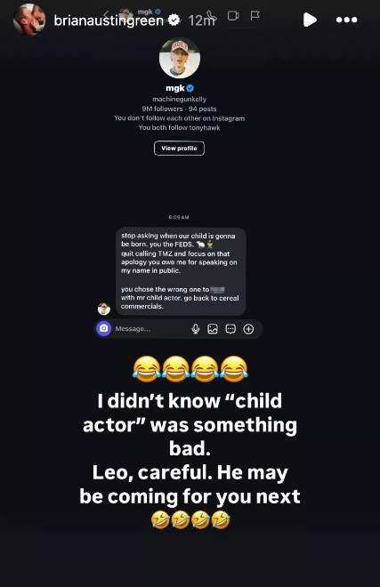 A screenshot of Brian Austin Green's Instagram Stories.