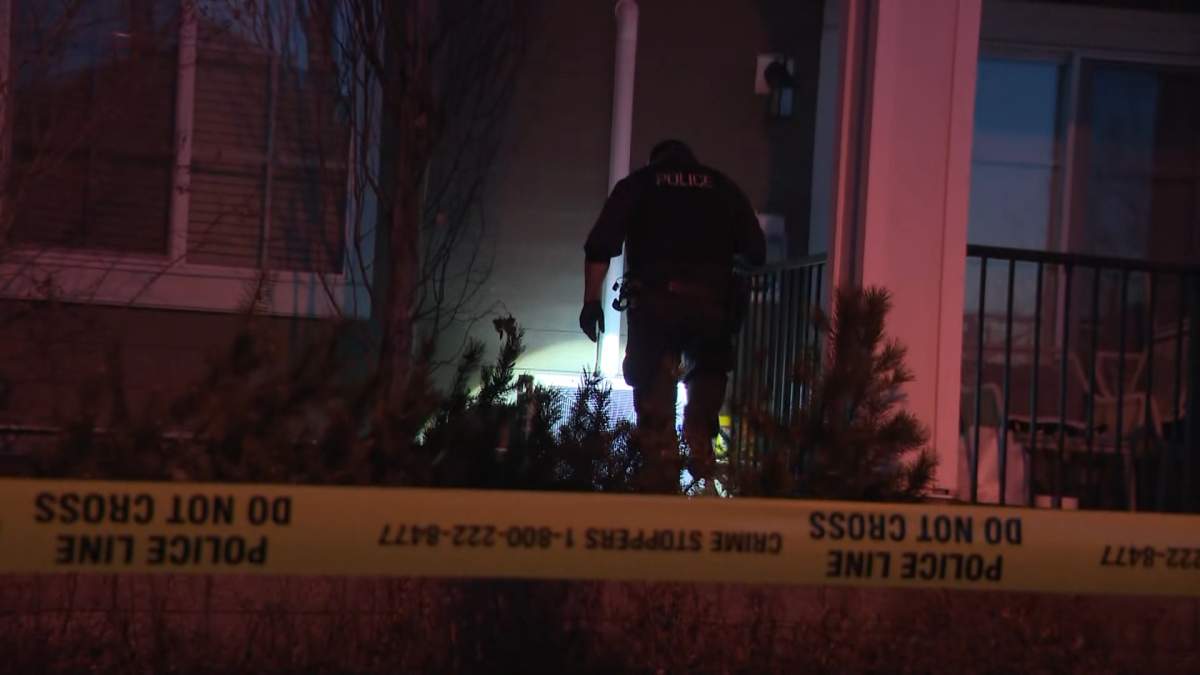 Calgary police investigators could be seen searching the bushes outside the front entrance of a southeast Calgary apartment building where a man was found dead inside the building early Tuesday morning.