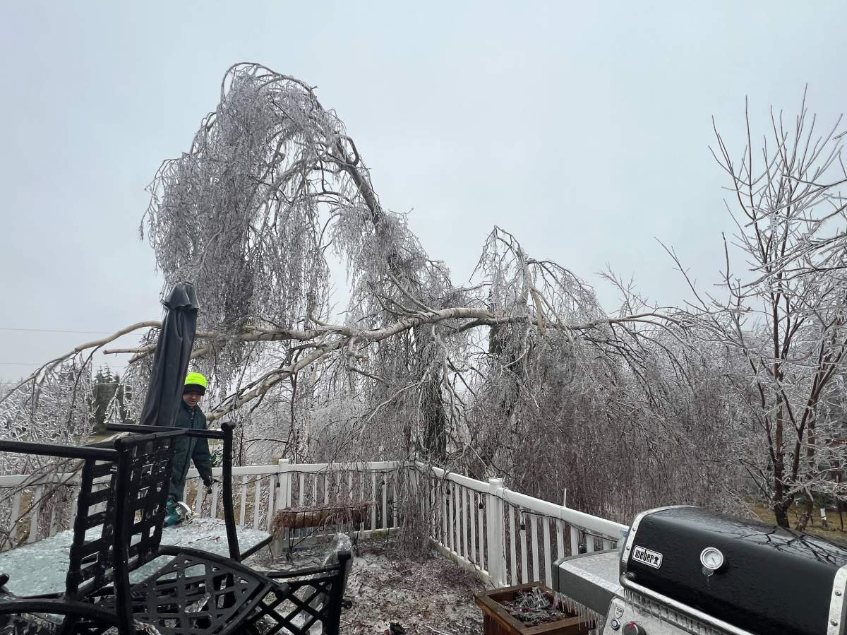 A person stands on a deck as ice-covered trees branches are shown in Meaford, Ont., on March 30, 2025. THE CANADIAN PRESS/HO-Becky Holvik*MANDATORY CREDIT *