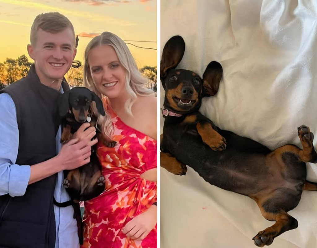 Valerie with her owners, Josh and Georgia before she went missing in November 2023.