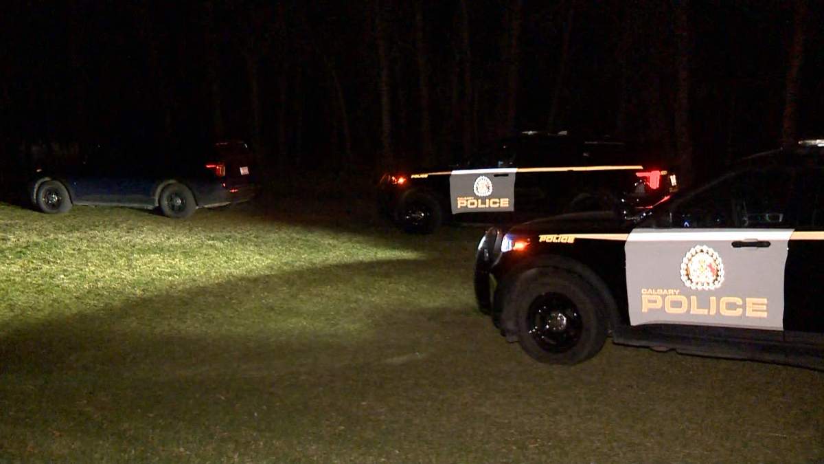 Calgary police homicide investigators were called out Monday evening after some people walking near Edworthy Park discovered human remains on an island in the Bow River.