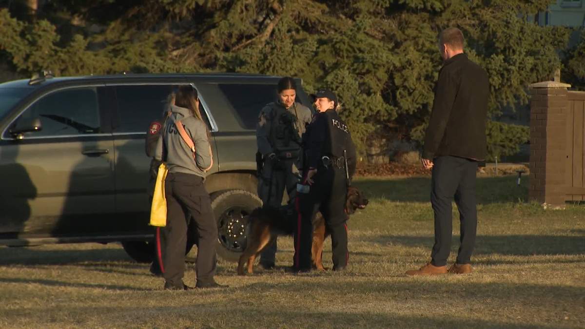 Calgary police were initially called to the 3400 block of Spruce Drive, S.W. around 3:15 p.m. on Thursday when a pedestrian made the gruesome discovery.