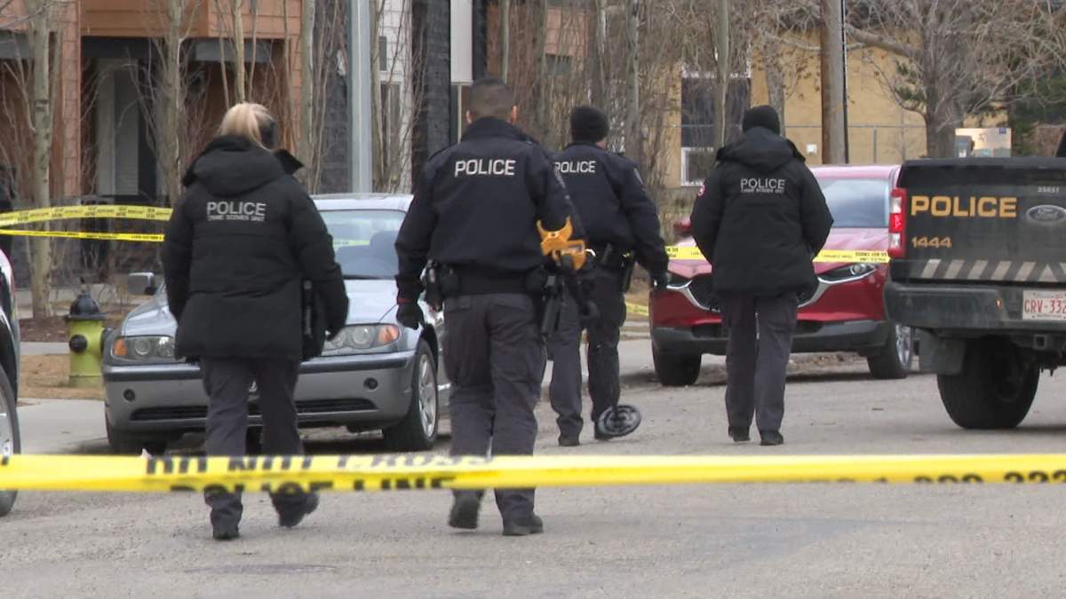 Calgary police say a shooting in the community of Radisson Heights on Tuesday that injured two people, appears to have been targetted.