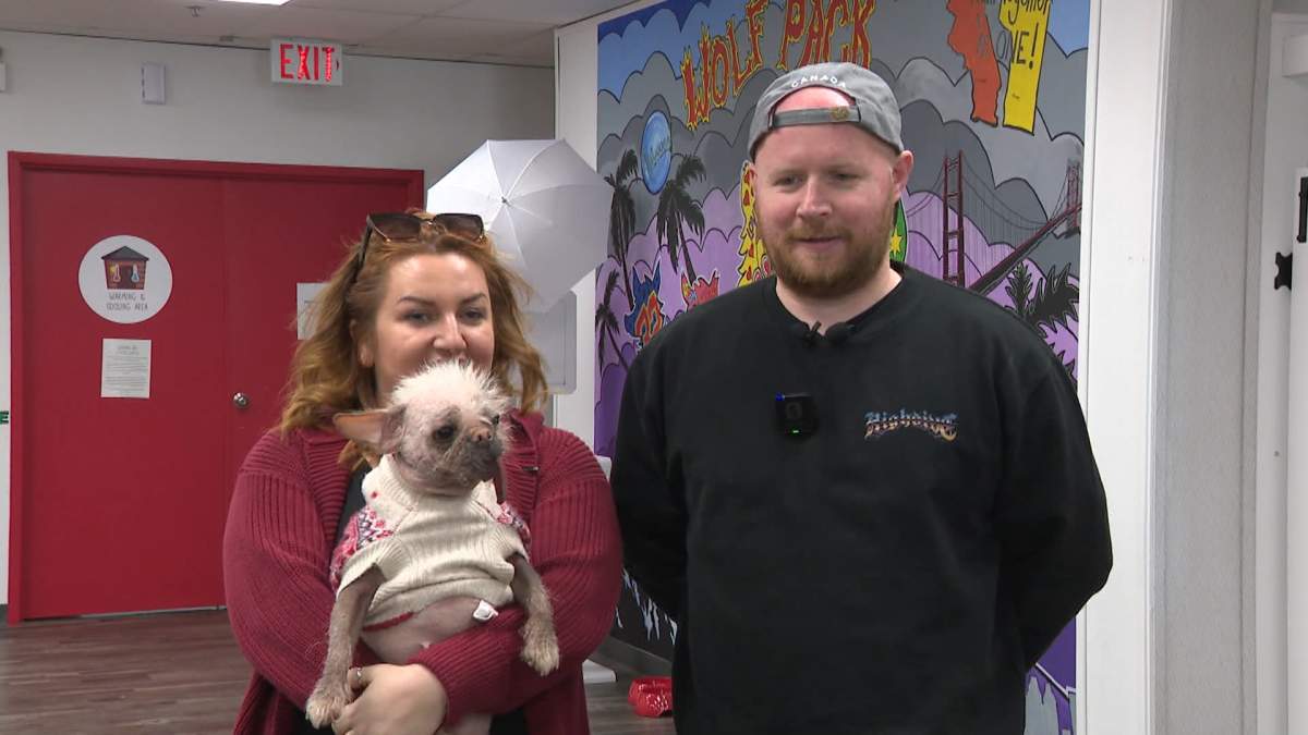 Peggy the Dog from "Deadpool & Wolverine" with her owners Holly and Luke Middleton in Calgary, Alta. on Thursday, April 24, 2025.
