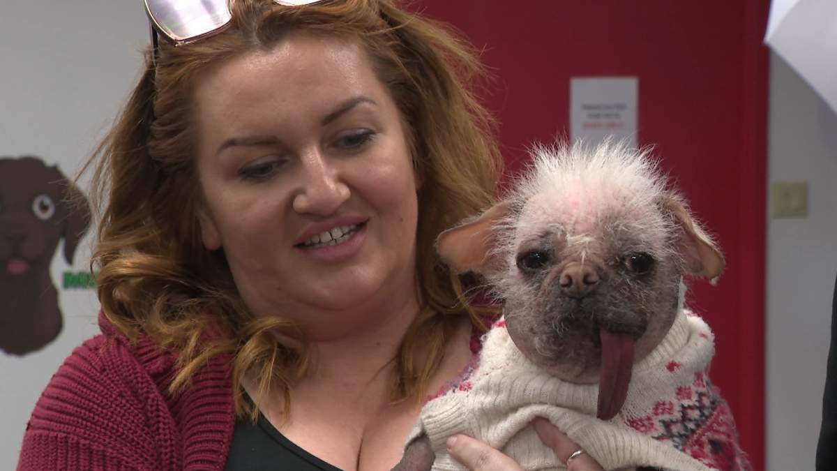 Peggy the Dog from "Deadpool & Wolverine" with her owner Holly Middleton in Calgary, Alta. on Thursday, April 24, 2025.