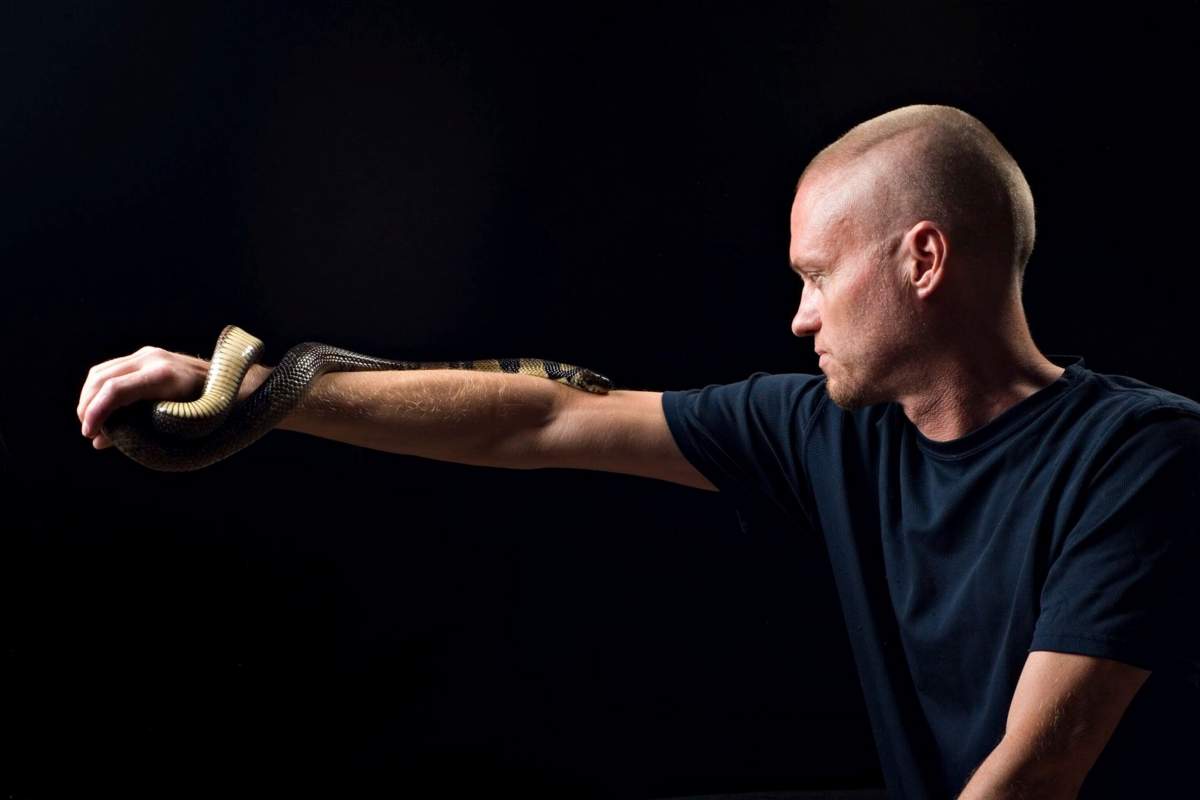 This undated photo provided by Centivax in 2025 shows Tim Friede, who is hyper-immune to the venom of various snakes, with a water cobra wrapped around his arm. (Centivax via AP)