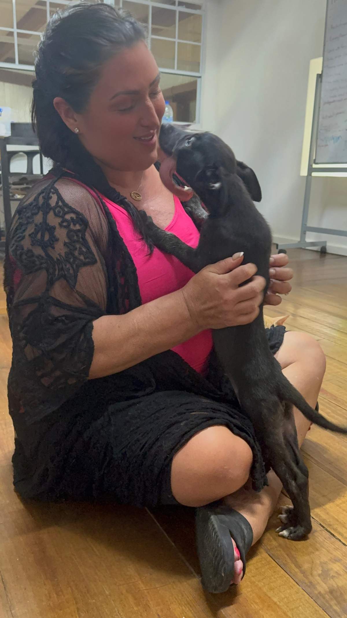 Dr. Renee Fleming rescued the puppy after he was left on a remote beach in St. Lucia. Following successful surgery, Gabriel will remain in her care until he's put into foster care.