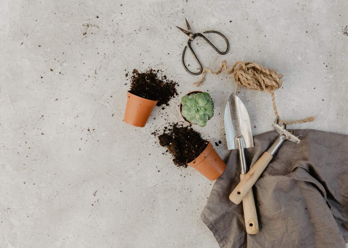 best gardening tools