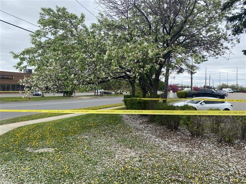 Peel Regional Police were called to the area of Tranmere Drive and Telford Way in Mississauga.